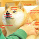 Illustration for article titled We who spoke LOLcat now speak Doge